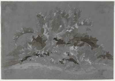 Studie van Onkruid door Jean Antoine Linck