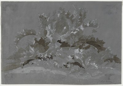 Studie van Onkruid, 1800-1850 door Jean Antoine Linck