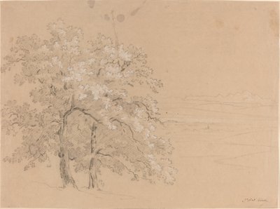 Zonovergoten Bomen Voor een Panoramisch Landschap door Jean Antoine Linck