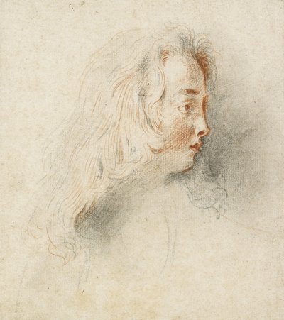 Hoofd van een Jongen in Profiel door Jean Antoine Watteau