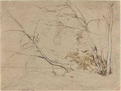 Boomgroep bij Civita Castellana door Jean Baptiste Camille Corot
