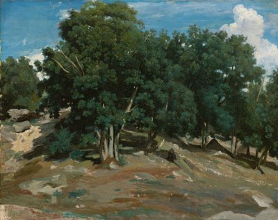 Fontainebleau: Eikenbomen bij Bas-Bréau, 1832-3 door Jean Baptiste Camille Corot