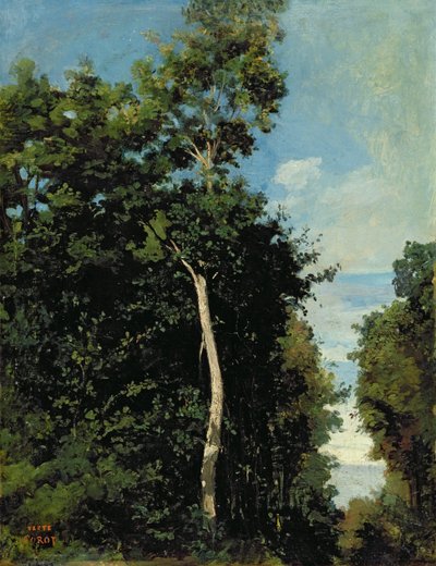 Het bos op de Cote de Grace in Honfleur door Jean Baptiste Camille Corot