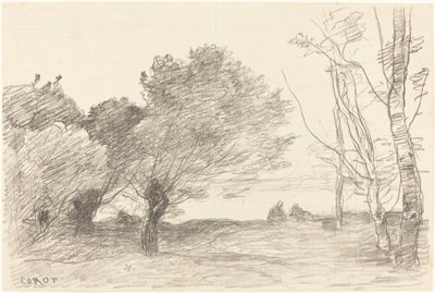 Wilgen en witte populieren, 1871 door Jean Baptiste Camille Corot