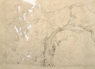 Jonge man voor een grote eik, c.1840 door Jean Baptiste Camille Corot