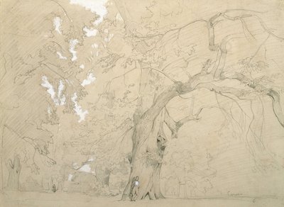 Jonge man voor een grote eik door Jean-Baptiste-Camille Corot