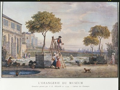 De Orangerie in het Museum in Parijs in 1794 door Jean Baptiste Hilair