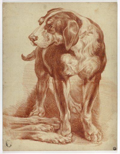 Hound Staand door Jean Baptiste Huet