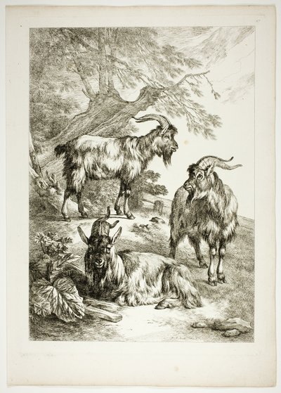 Plaat Zeventien van 38 uit Oeuvres de J. B. Huet door Jean Baptiste Huet