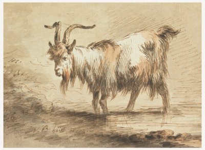 Studie van een geit door Jean Baptiste Huet