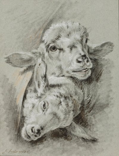Studie van twee schapen, 1768 door Jean Baptiste Huet
