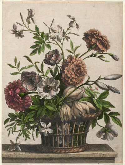 Goudsbloemen, enkele Anemoon, Jasmijn... door Jean Baptiste I Monnoyer