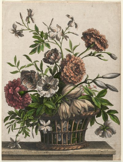 Goudsbloemen, enkele Anemoon, Jasmijn... door Jean Baptiste Monnoyer I