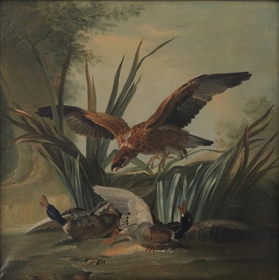 Een havik die op een paar eenden duikt door Jean Baptiste Oudry