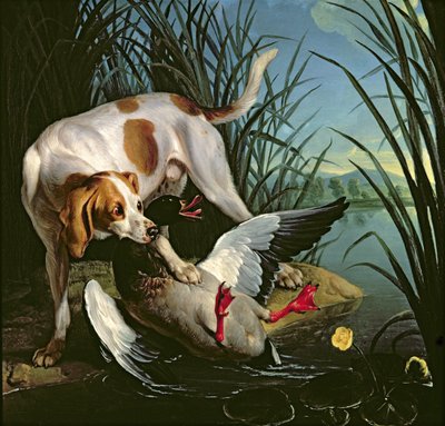 Hond met een wilde eend door Jean Baptiste Oudry