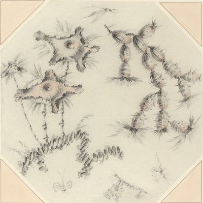 Bamboebloemen en Cactus door Jean Baptiste Pillement