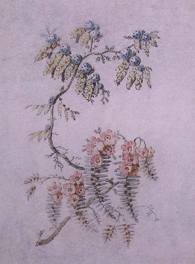 Decoratieve studie van bloemen en bessen door Jean Baptiste Pillement