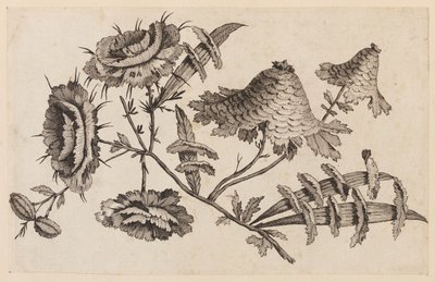 Bloementak, uit "Recueil de Fleurs Chinois" door Jean Baptiste Pillement