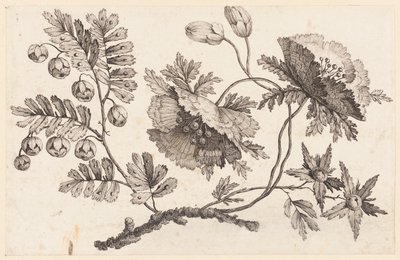Bloementak, uit "Recueil de Fleurs Chinois" door Jean Baptiste Pillement