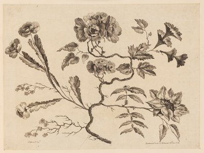 Bloemtakken, uit "Recueil de Differentes Fleurs de Fantaisie Dans le Goût Chinois" door Jean Baptiste Pillement
