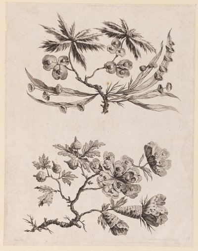 Bloemtakken uit, "Recueil de Fleurs Chinois" door Jean Baptiste Pillement