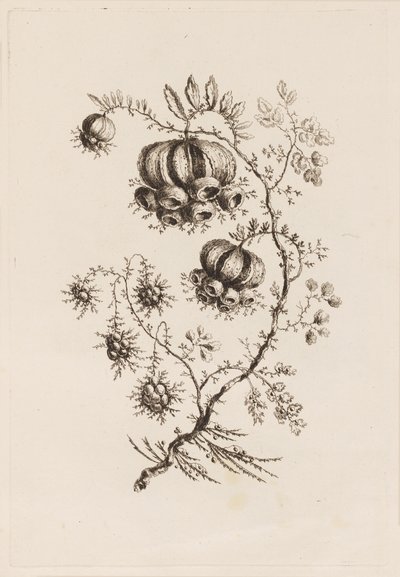 Bloementak, uit "Fleures Persannes" door Jean Baptiste Pillement