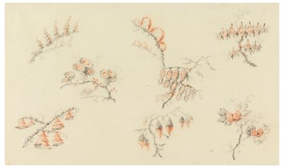 Takken van Zeven Ideale Bloemen en een Quasi-Naturalistische Bloem door Jean Baptiste Pillement