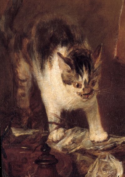 Het stilleven van vis, oesters, kruik. Kat (detail) door Jean Baptiste Simeon Chardin