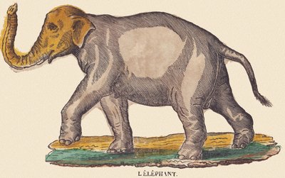 De olifant, c.1840-1852 door Jean Baptiste Thiebault