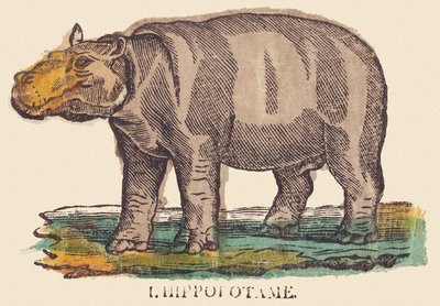 Het nijlpaard door Jean Baptiste Thiebault