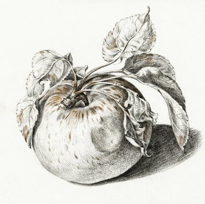 Apple door Jean Bernard