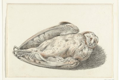 Dode uil door Jean Bernard