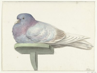 Duif, zittend op een plankje door Jean Bernard