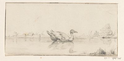 Eend in het water door Jean Bernard