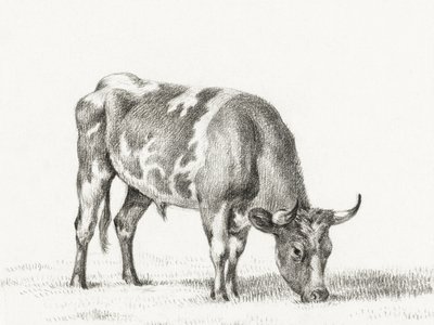 Weidende stier door Jean Bernard