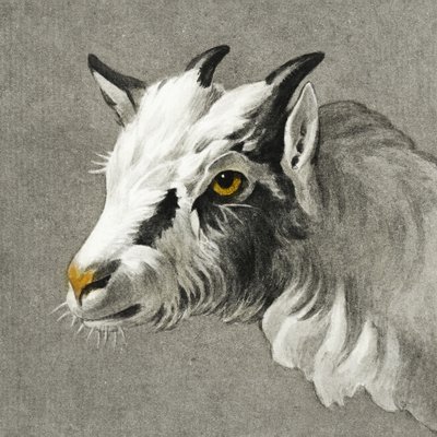 Hoofd van een geit door Jean Bernard