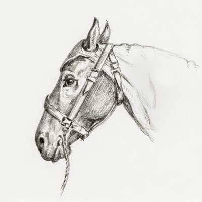 Paardenhoofd (1818) door Jean Bernard