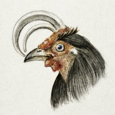 Haanhoofd (1816) door Jean Bernard