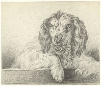 Hond door Jean Bernard