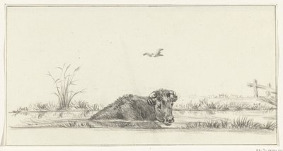 Koe in het water door Jean Bernard