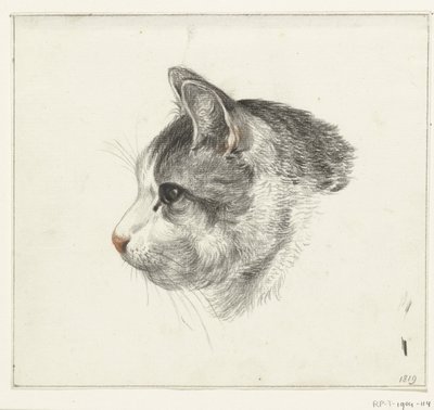 Kop van een kat, naar links door Jean Bernard