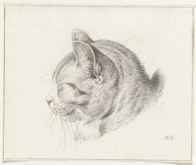Kop van een kat, naar links door Jean Bernard