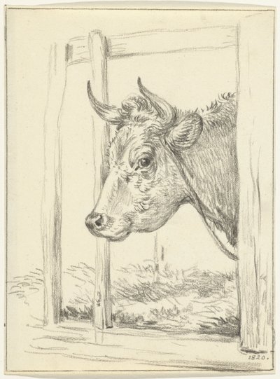 Kop van een koe, in een stal, naar links door Jean Bernard