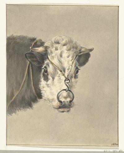 Kop van een koe, met een ring door de neus, van voren door Jean Bernard