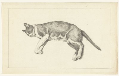 Liggende kat, naar links, van boven gezien door Jean Bernard