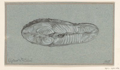 Moot gekookte zalm door Jean Bernard
