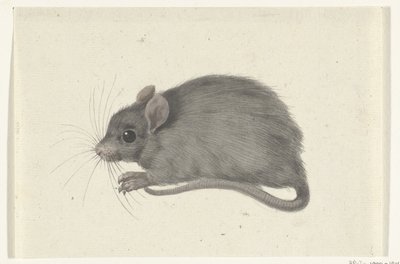 Muis, naar links door Jean Bernard