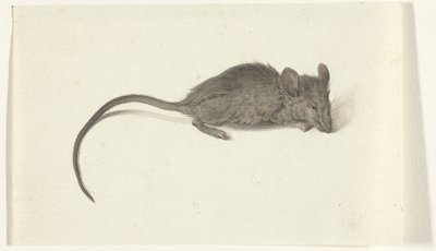 Muis, naar rechts door Jean Bernard