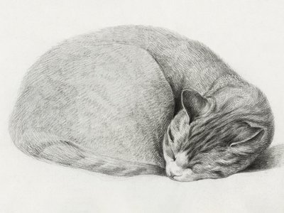 Opgerolde, liggende, slapende kat door Jean Bernard (1775–1883) door Jean Bernard