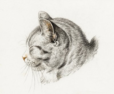 Schets van een kat (1813) door Jean Bernard